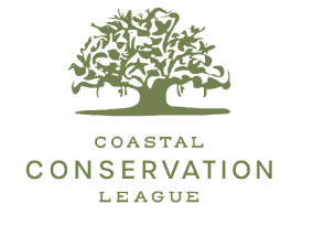 Screenshot 2025-07-28 at 10.57.20 AM