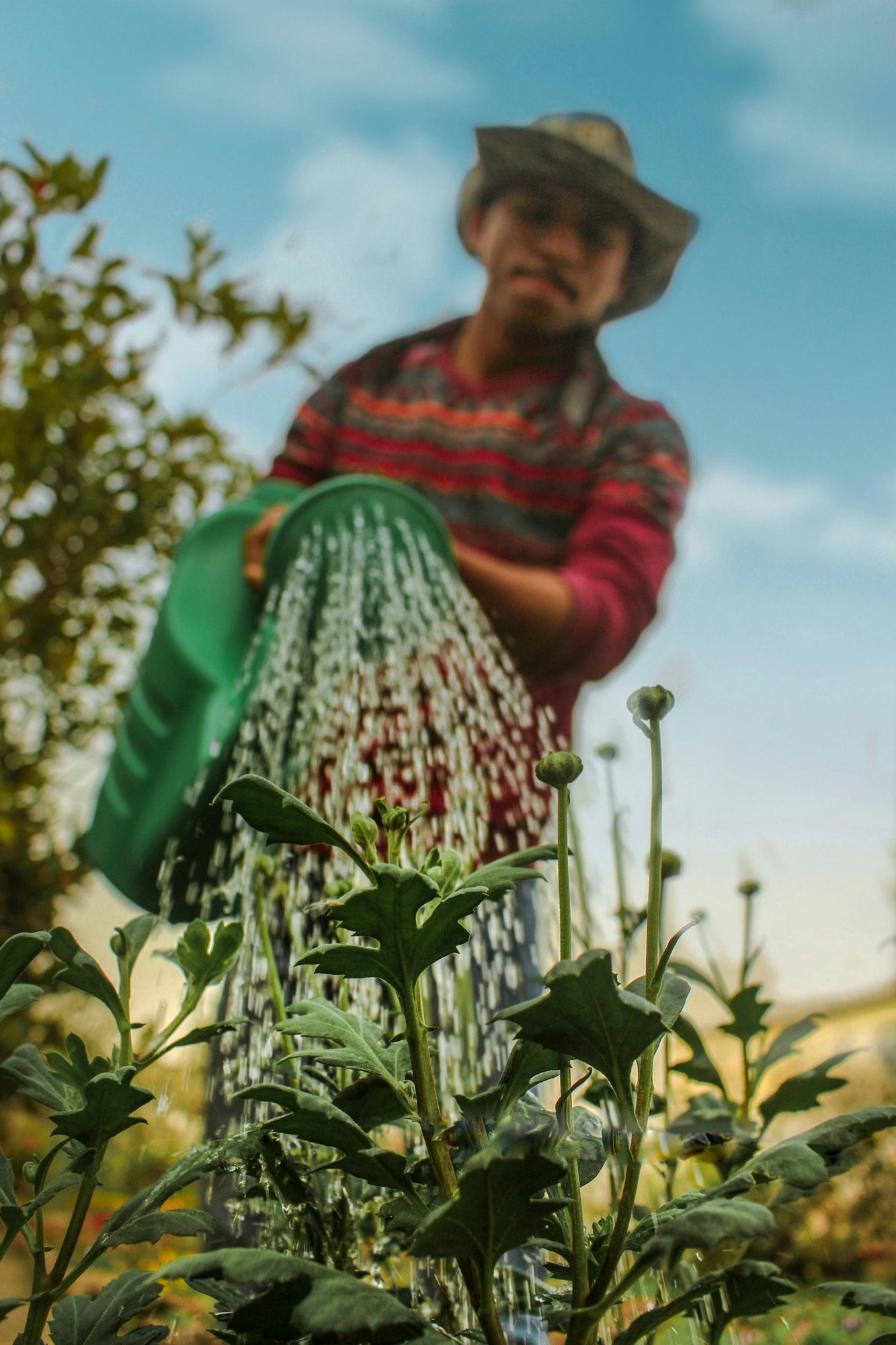 almani-qhizq_V876M-unsplash almani-qhizq_V876M-unsplash